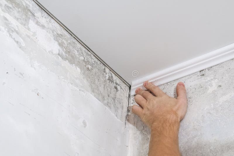 Worker Fixes the Plastic Molding To Ceiling. Installation of Ceiling
