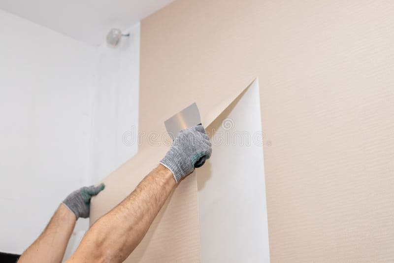 Worker Hand Tear Off Old Light Wallpaper with Scraper from in the Apartment, Removing the Old Wallpaper with Stock Photo - Image of delete, flat: 211975838 Worker Hand Tear Off Old Light Wallpaper with Scraper from in the Apartment, Removing the Old Wallpaper with Stock Photo - Image of delete, flat: 211975838