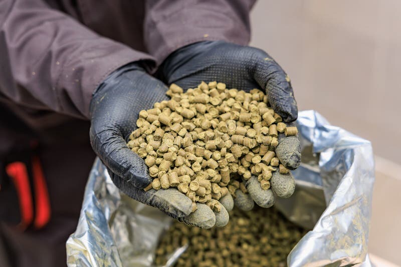 Worker handling organic animal feed pellets with protective gloves royalty free stock photos