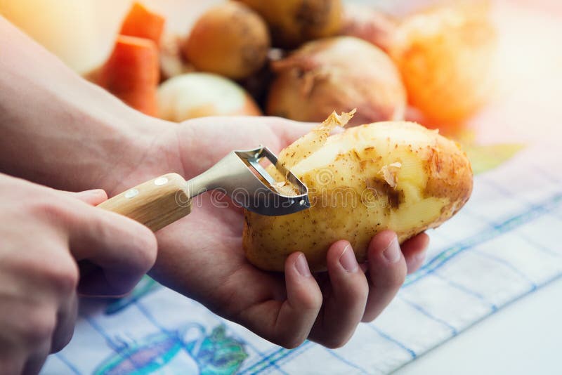 Worker holds in hand the tool for cleaning of vegetables stock image