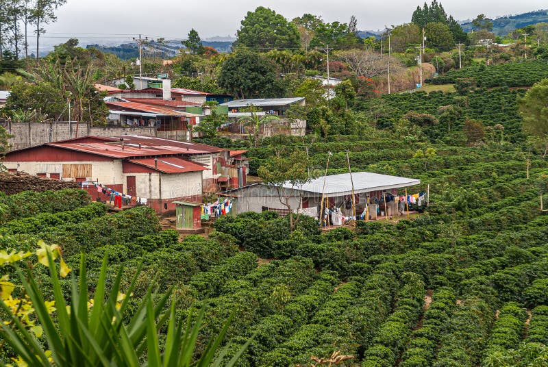 Worker houses on coffee farm in Alajuela Province, Costa Rica