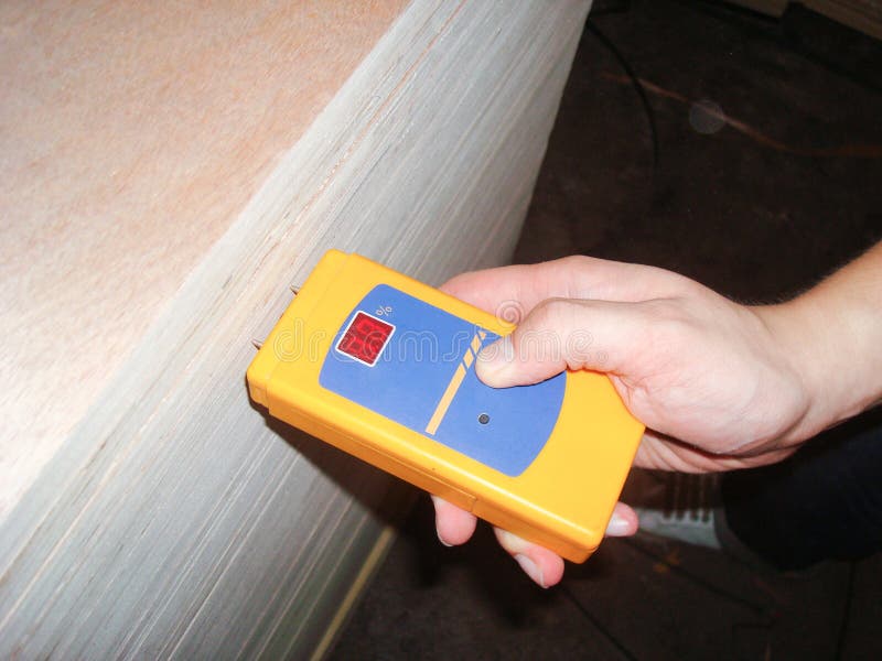 Photo of Worker Measuring the Level of Wood Moisture Density for Quality Assurance