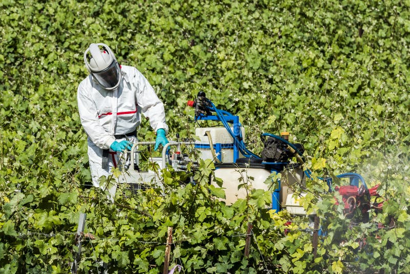 Worker With Pesticides in Champagne royalty free stock images Worker With Pesticides in Champagne royalty free stock images