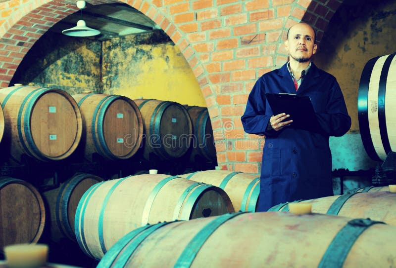 Worker Taking Notes in Wine Cellar Stock Image Image of bottler