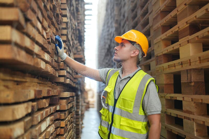 Worker are Working at Lumber Yard in Large Warehouse. Stock Image