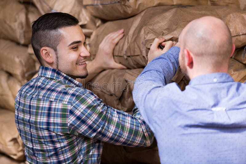 Workers Carrying Bags of Cement Stock Photo Image of carrying