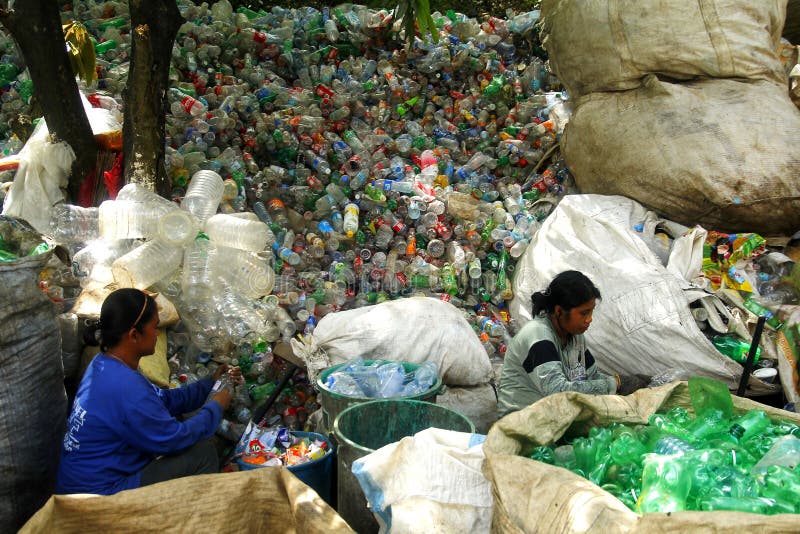 Workers of a materials recovery facility sort through plastic waste and segregate them for proper recycling