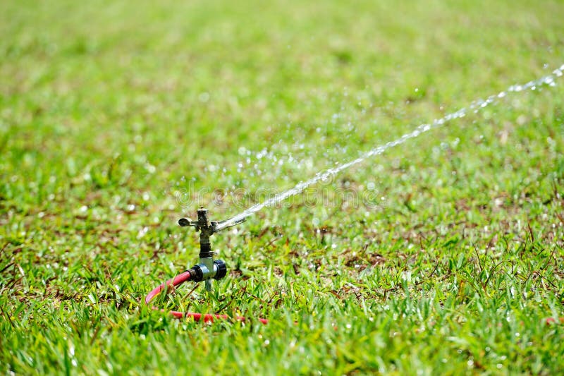 Working water sprinkler stock photo. Image of grass, horizontal 67872236