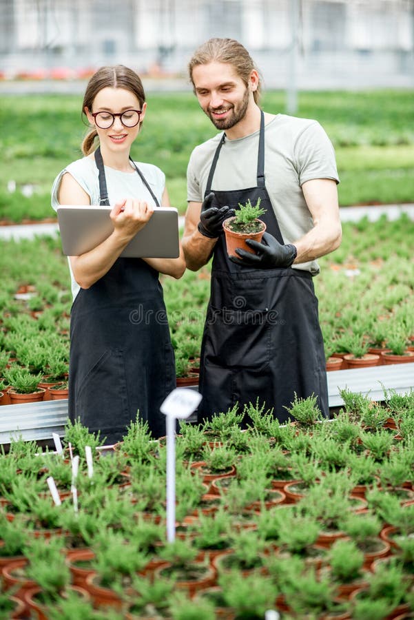 Couple of workers working with digital tablet supervising the growing of plants in the greenhouse of the plants production. Couple of workers working with digital tablet supervising the growing of plants in the greenhouse of the plants production