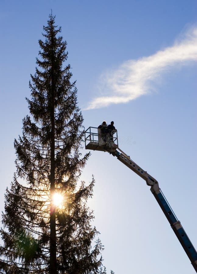 Workmen on crane near tree stock photos Workmen on crane near tree stock photos