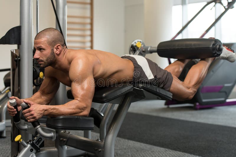 Workout Lying Leg Curls Exercises