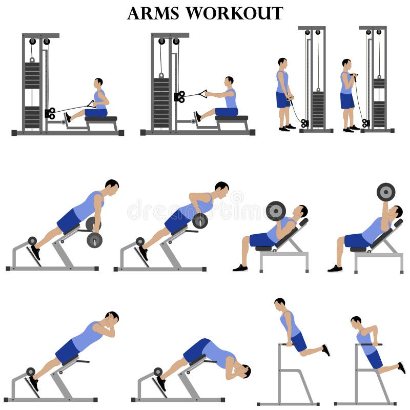 Workout Man Set. Arms and Shoulders Workout Illustration Stock Vector -  Illustration of dumbbell, health: 218029702