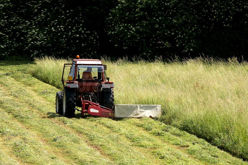 Works on the lawn