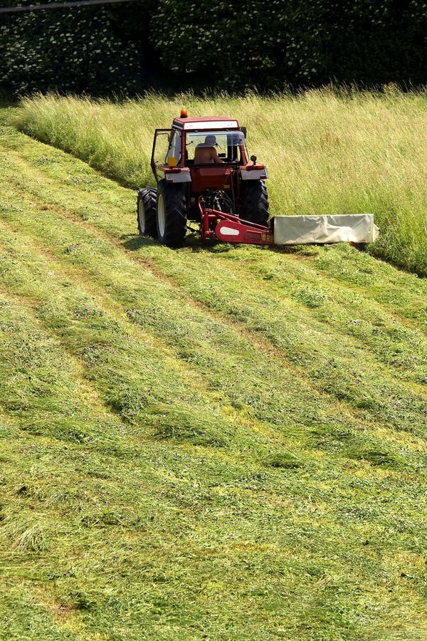 Works on the lawn