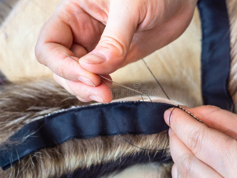 Furrier stitches fur pelts by needle close up