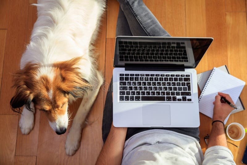 Workspace hemma Man arbete på golvet som hjälps av hans fotografering för bildbyråer Workspace hemma Man arbete på golvet som hjälps av hans fotografering för bildbyråer