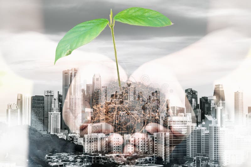 World Eco Friendly for Save The Green Earth Concept, Double Exposure Images of Woman Hands is Holding Tree Seeding With Cityscape