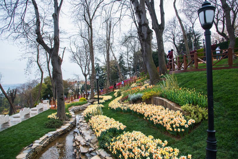 World Famous Tulip Festival in Emirgan Park, Istanbul, Turkey ...