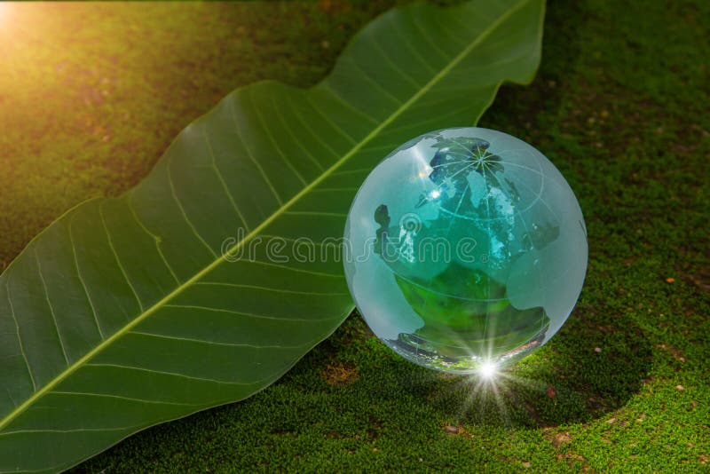 World globe crystal glass on green lush leaf on moss and reflect shine sun. World environment day. Global business for sustainable