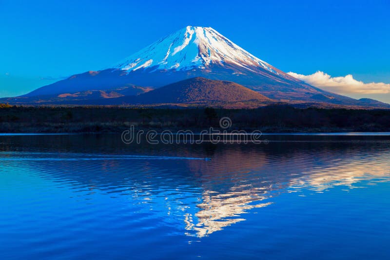 World Heritage Mount Fuji and Lake Shoji II