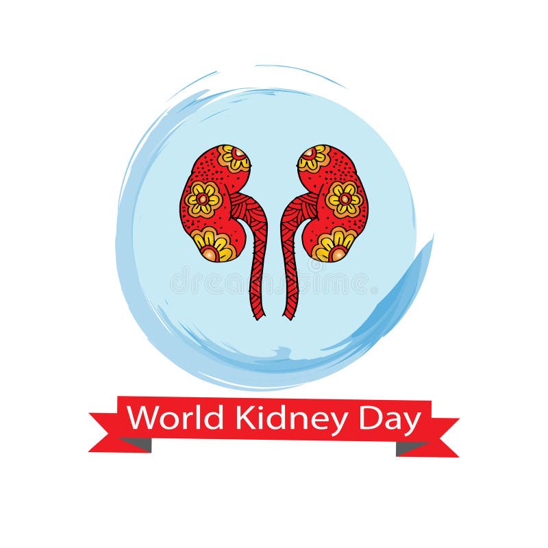World kidney day stock illustration. Illustration of anatomy - 111065270