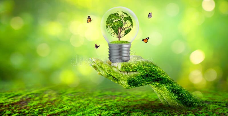 World shaped tree in light bulb concept of environmental conservation and protecting nature stock images World shaped tree in light bulb concept of environmental conservation and protecting nature stock images