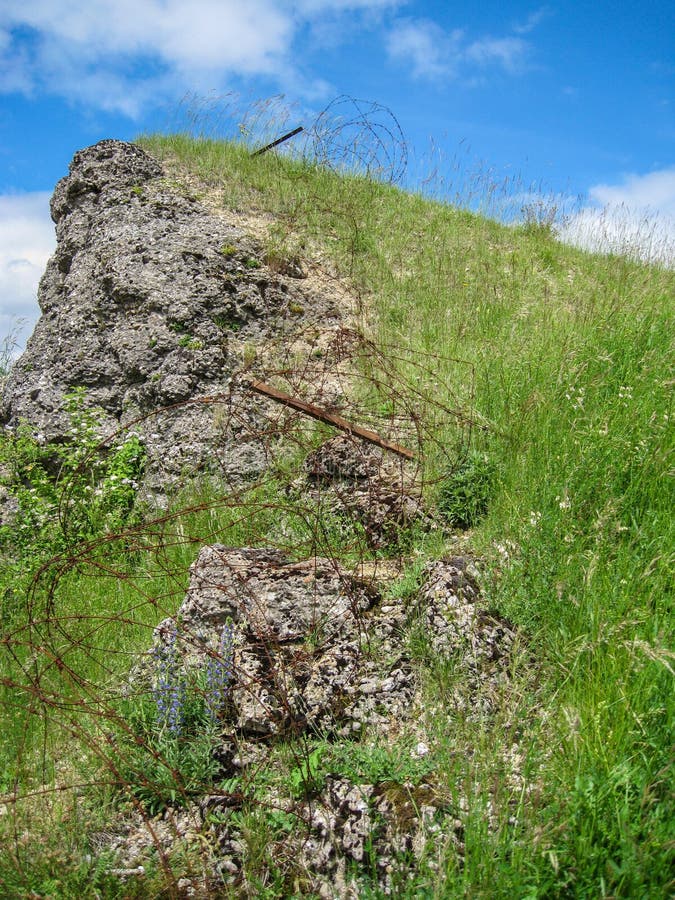 World War One Barbed Wire stock photo. Image of france 135893892