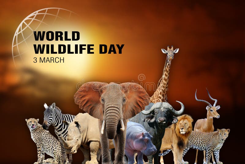 World Wildlife Day. Text on Many Animal Background Stock Image - Image of  ecology, nature: 173571411