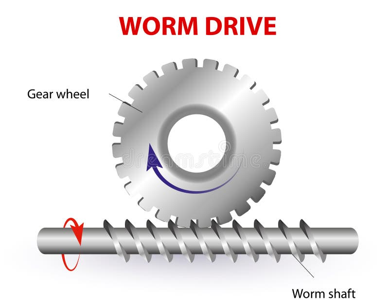Worm Drive or Torsen Differential Stock Vector - Illustration of shaft