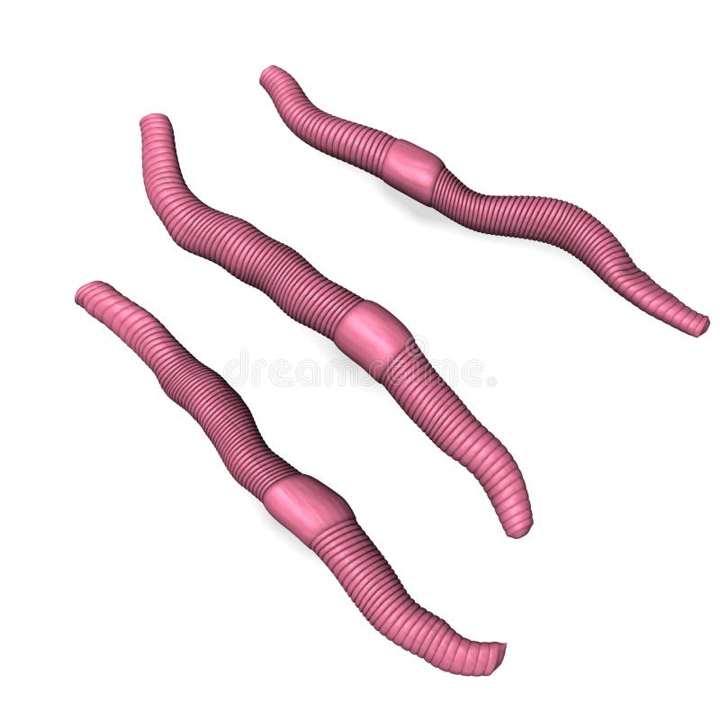 Pink Worms Stock Illustrations – 372 Pink Worms Stock Illustrations,  Vectors & Clipart - Dreamstime