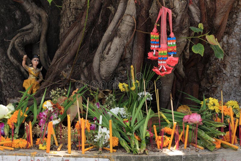 Worship tree stock photo. Image of peace, flower, incense - 24678348