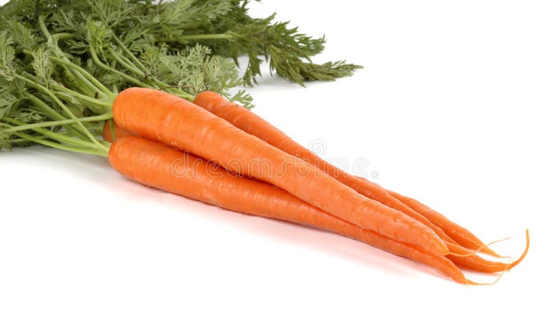 Bunch of fresh carrots on a white background. Bunch of fresh carrots on a white background.