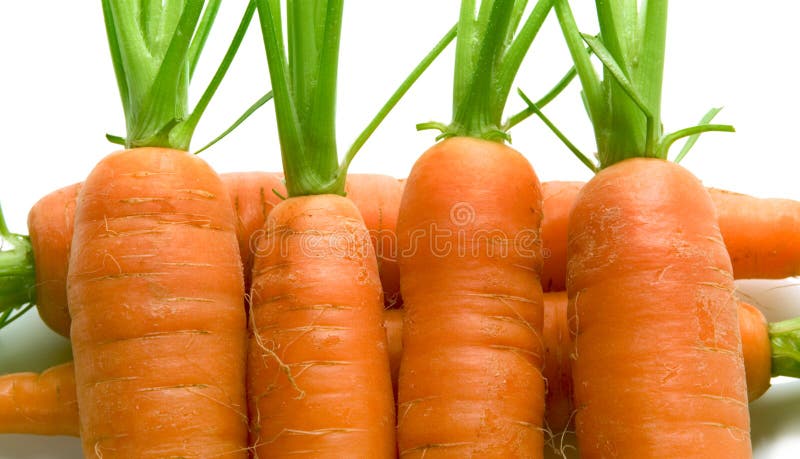 Fresh carrots over white background. Fresh carrots over white background