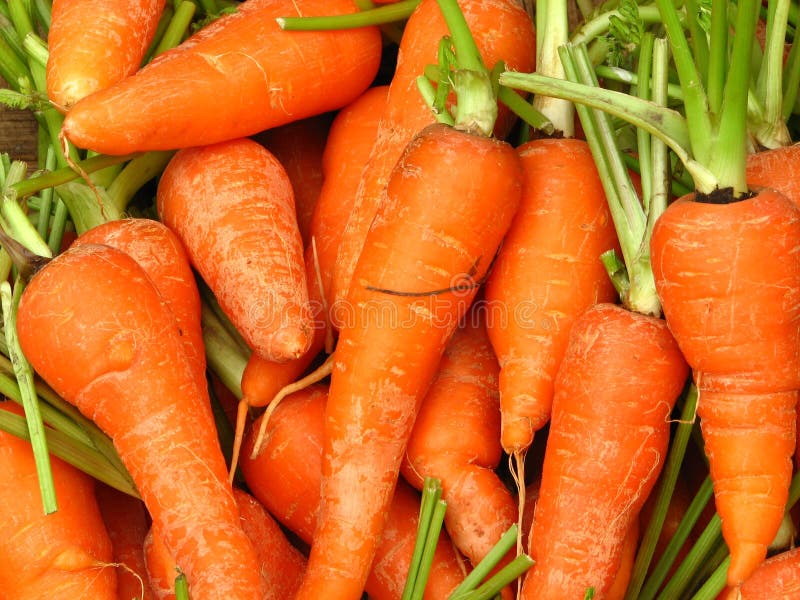 Carrots at Quiapo market, Manila, Philippines. Carrots at Quiapo market, Manila, Philippines.