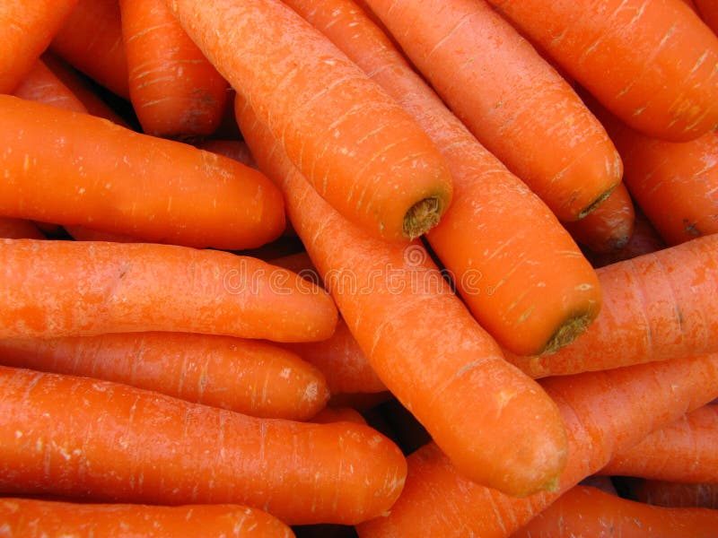 A bunch of carrots at the market. A bunch of carrots at the market