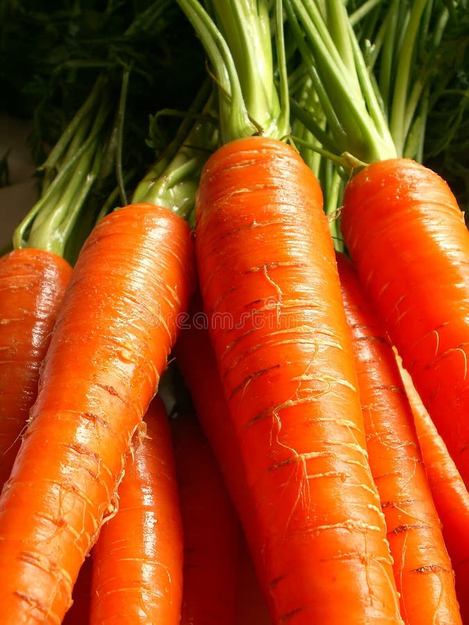 Carrots closeup. Carrots closeup