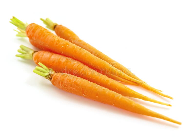 Several fresh carrots isolated on white background. Several fresh carrots isolated on white background