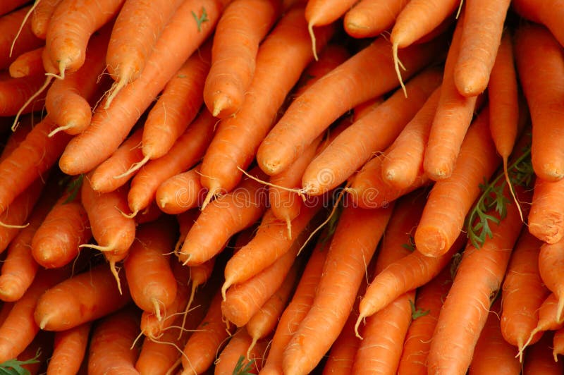 A stack of fresh carrots. A stack of fresh carrots