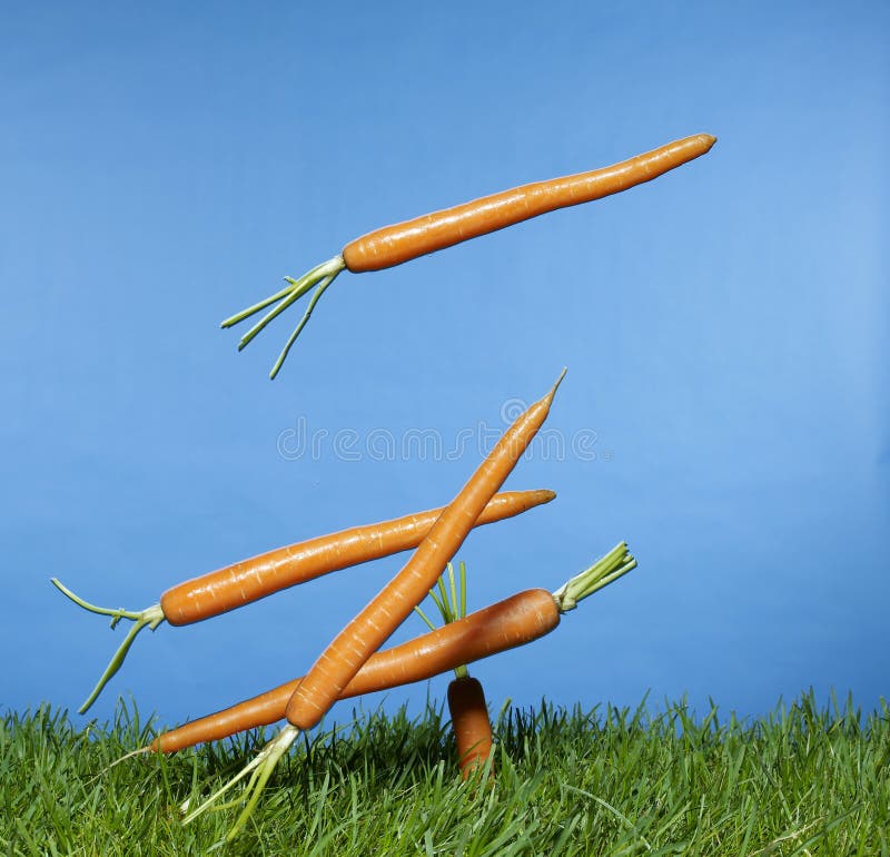 Carrots falling from the sky onto grass. Carrots falling from the sky onto grass
