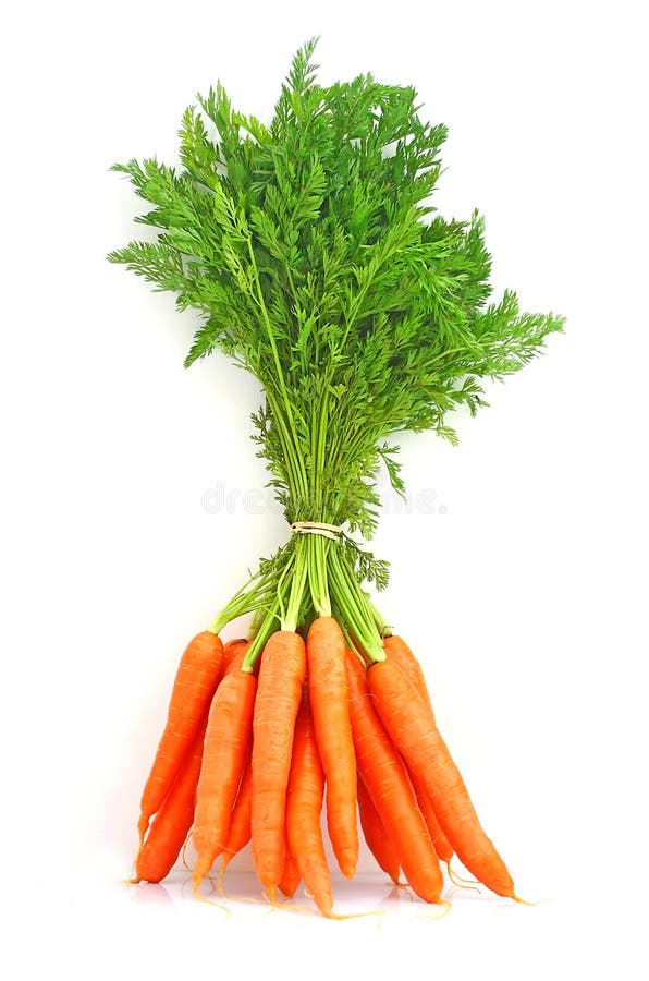 Fresh carrots isolated on white. Fresh carrots isolated on white