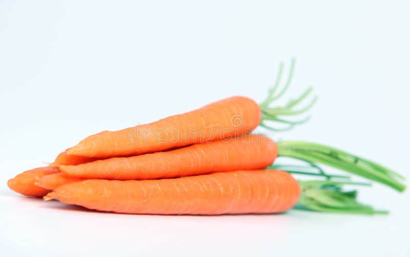 Whole carrots with stalk on white background. Whole carrots with stalk on white background