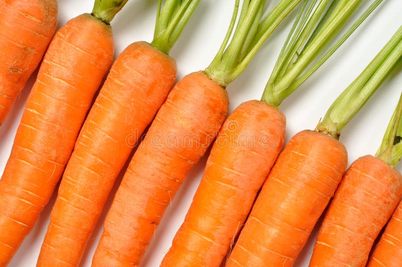 Fresh red carrots on white background. Fresh red carrots on white background