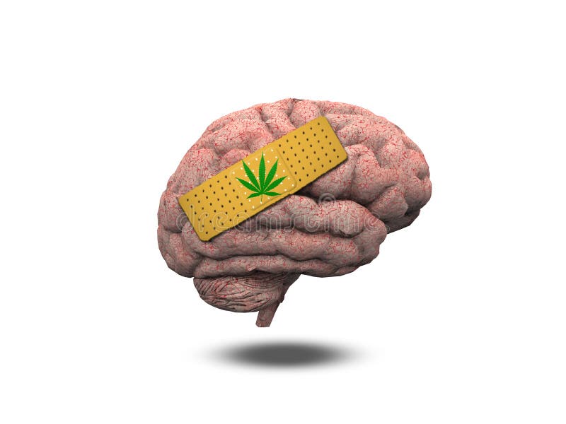 Wounded Brain Marijuana Leaf Bandage Stock Illustration Illustration