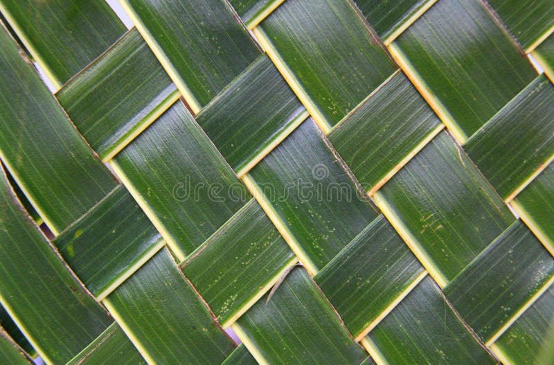 Woven green coconut leaves texture