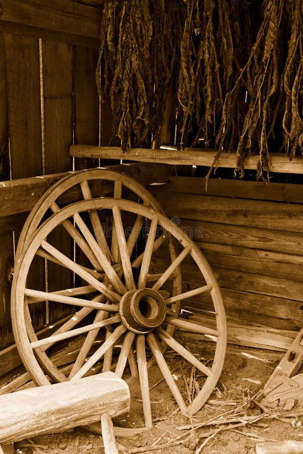 Sepia toned antique wagon wheels and dried tobacco in farm outbuilding. Sepia toned antique wagon wheels and dried tobacco in farm outbuilding.