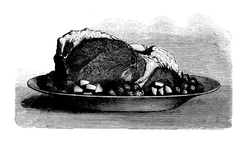 Wołowina z warzywami korzeniowymi, antyczne ilustracje kulinarne
