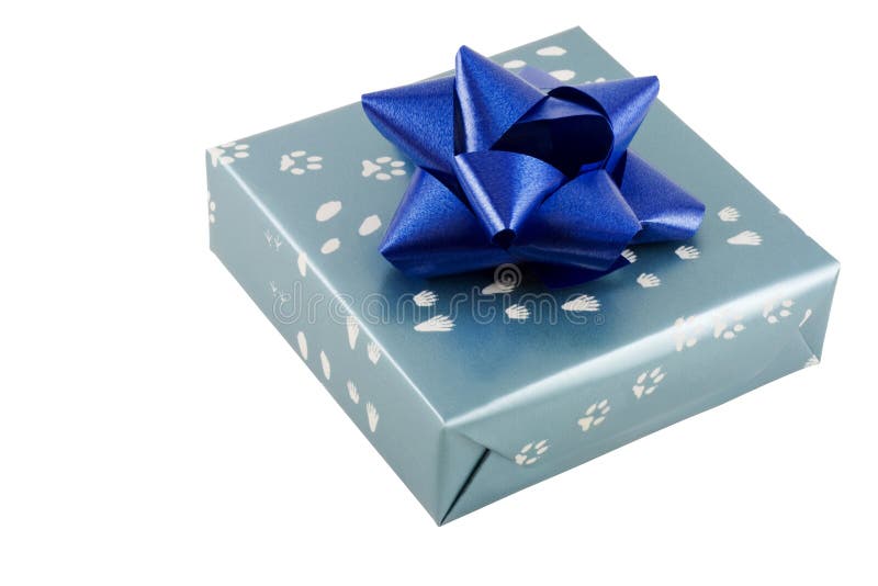 Wrapped present with bow