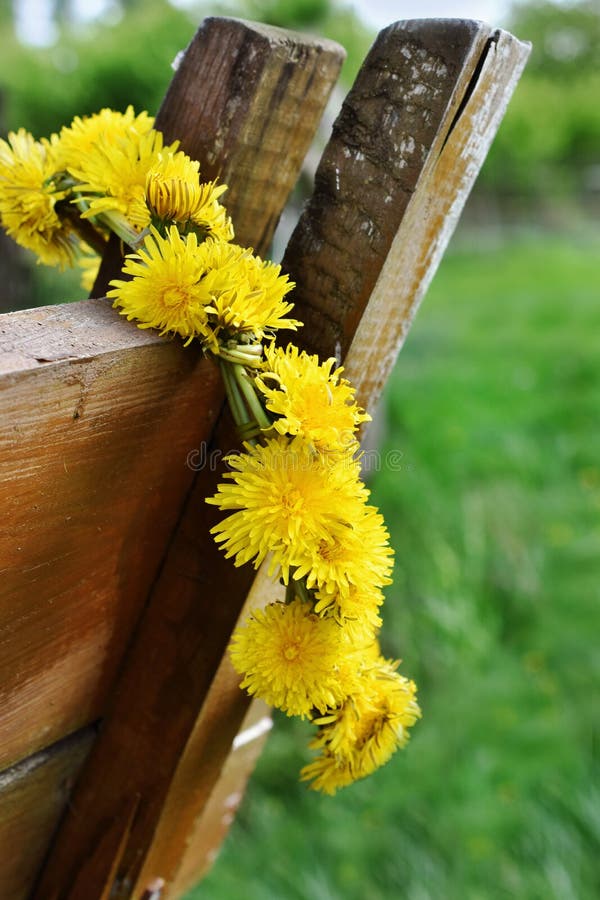 Wreath dandelion wiszący na drewnianym koniu obraz royalty free