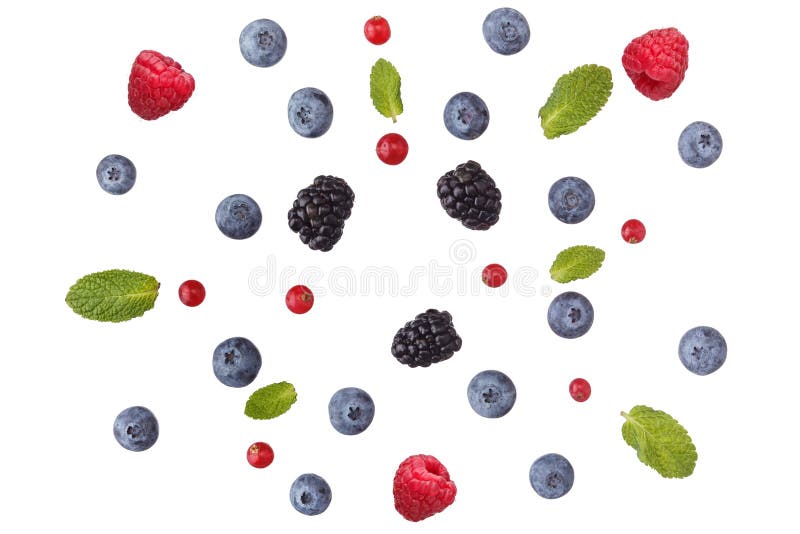 Wreath of different berries. Mix of different berries isolated on white background