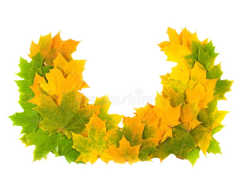 Wreath from maple leaves